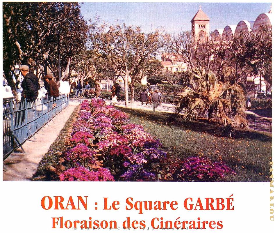 CA f- 018- Square Garbe.jpg